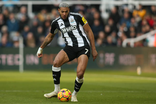 不仅仅依赖 不仅仅依赖