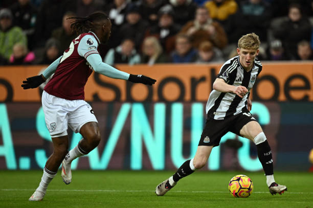 新领导小组 新领导小组