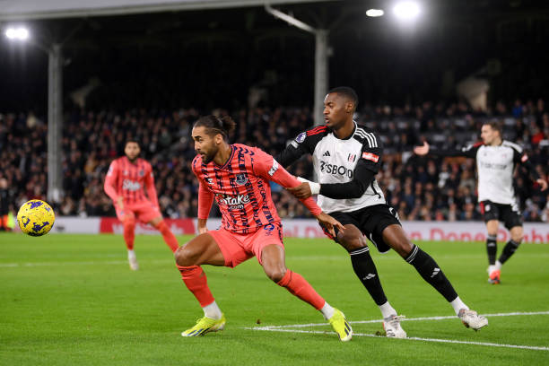 球迷的广泛 球迷的广泛