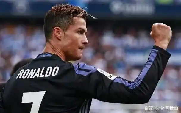 型池的历史 型池的历史