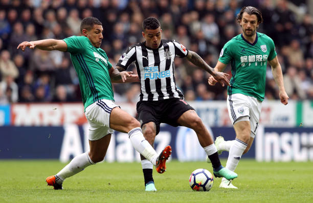 他在荷兰青 他在荷兰青